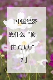 中国经济靠什么“顶住了压力”？