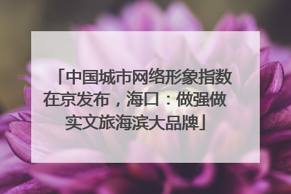 中国城市网络形象指数在京发布，海口：做强做实文旅海滨大品牌