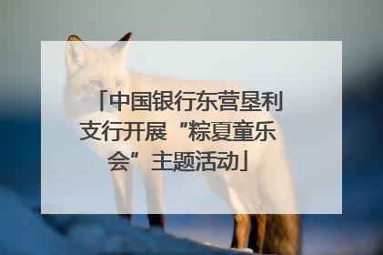 中国银行东营垦利支行开展“粽夏童乐会”主题活动