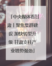 中央媒体看甘肃丨聚焦集群建设 加快转型升级 甘肃支柱产业增势强劲