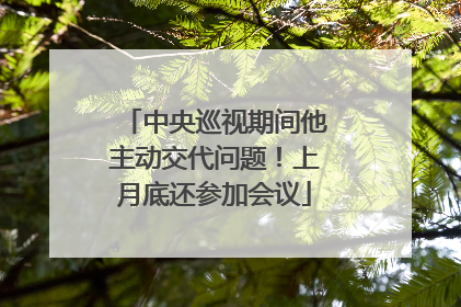 中央巡视期间他主动交代问题！上月底还参加会议