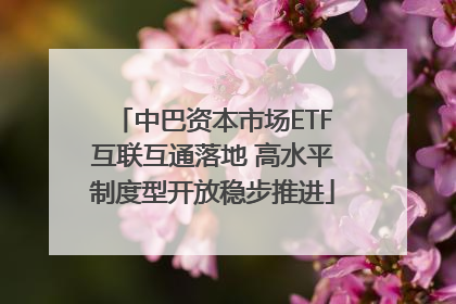 中巴资本市场ETF互联互通落地 高水平制度型开放稳步推进