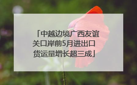 中越边境广西友谊关口岸前5月进出口货运量增长超三成