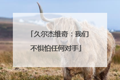 久尔杰维奇：我们不惧怕任何对手