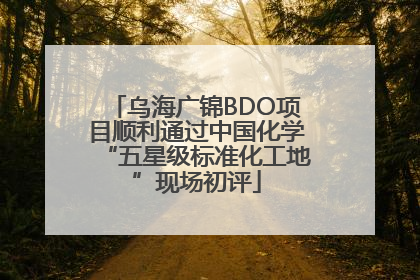 乌海广锦BDO项目顺利通过中国化学“五星级标准化工地”现场初评