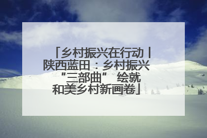 乡村振兴在行动丨陕西蓝田：乡村振兴 “三部曲” 绘就和美乡村新画卷