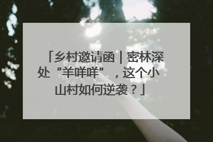 乡村邀请函｜密林深处“羊咩咩”，这个小山村如何逆袭？