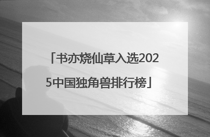 书亦烧仙草入选2025中国独角兽排行榜