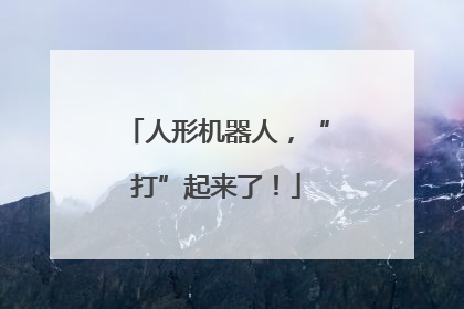 人形机器人，“打”起来了！