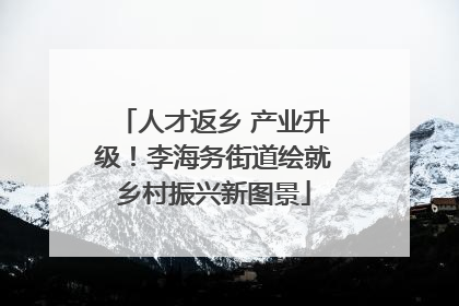 人才返乡 产业升级！李海务街道绘就乡村振兴新图景
