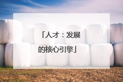 人才：发展的核心引擎