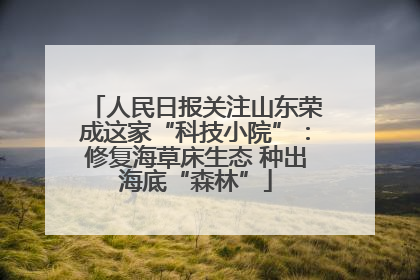 人民日报关注山东荣成这家“科技小院”：修复海草床生态 种出海底“森林”