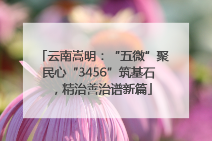 云南嵩明：“五微”聚民心“3456”筑基石，精治善治谱新篇