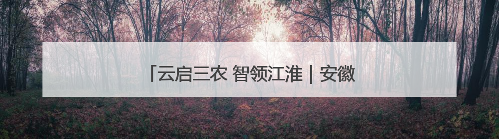 云启三农 智领江淮｜安徽电信举办智慧农业主题会议