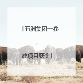 五洲集团一参建项目获奖