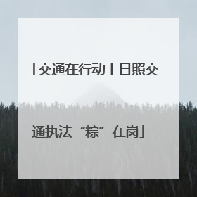 交通在行动丨日照交通执法“粽”在岗