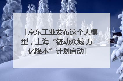 京东工业发布这个大模型，上海“链动众城 万亿降本”计划启动