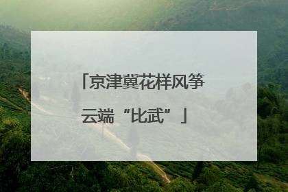 京津冀花样风筝云端“比武”
