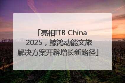 亮相ITB China 2025，鲸鸿动能文旅解决方案开辟增长新路径