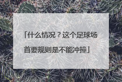 什么情况？这个足球场首要规则是不能冲撞