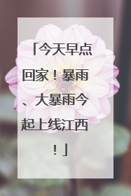 今天早点回家！暴雨、大暴雨今起上线江西！