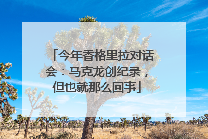 今年香格里拉对话会：马克龙创纪录，但也就那么回事