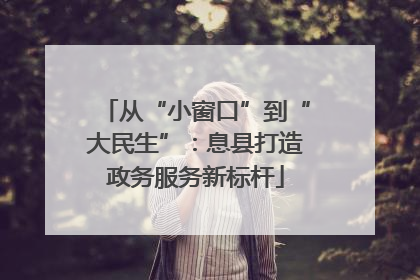 从“小窗口”到“大民生”：息县打造政务服务新标杆