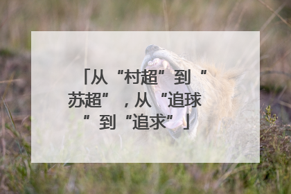 从“村超”到“苏超”，从“追球”到“追求”