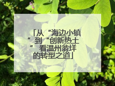从“海边小镇”到“创新热土” 看温州翁垟的转型之道