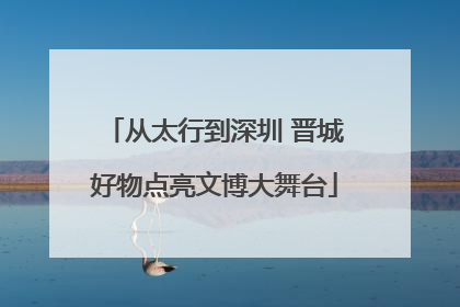 从太行到深圳 晋城好物点亮文博大舞台