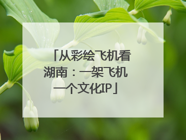 从彩绘飞机看湖南：一架飞机一个文化IP