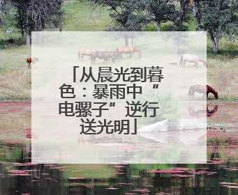 从晨光到暮色：暴雨中“电骡子”逆行送光明