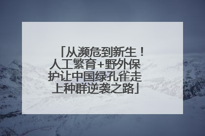 从濒危到新生！人工繁育+野外保护让中国绿孔雀走上种群逆袭之路