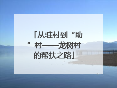 从驻村到“助”村——龙树村的帮扶之路