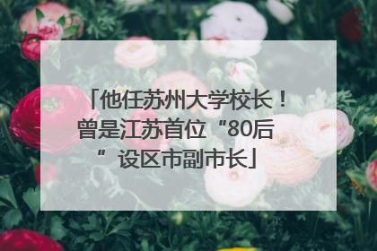 他任苏州大学校长！曾是江苏首位“80后”设区市副市长