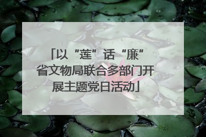 以“莲”话“廉” 省文物局联合多部门开展主题党日活动