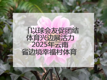 以球会友促团结 体育兴边展活力 2025年云南省边境幸福村体育嘉年华三人篮球赛圆满收官