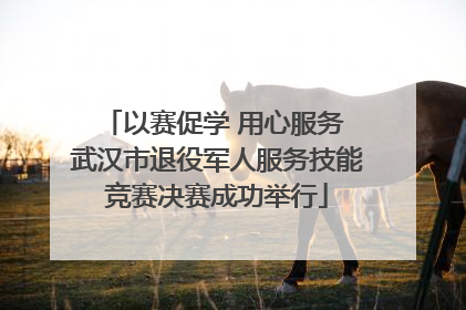 以赛促学 用心服务 武汉市退役军人服务技能竞赛决赛成功举行