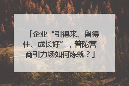 企业“引得来、留得住、成长好”，普陀营商引力场如何炼就？