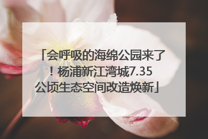 会呼吸的海绵公园来了！杨浦新江湾城7.35公顷生态空间改造焕新