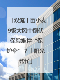 双流千亩小麦9级大风中倒伏 保险难撑“保护伞”？丨阳光帮忙