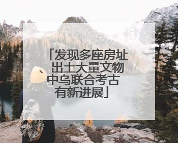 发现多座房址、出土大量文物 中乌联合考古有新进展