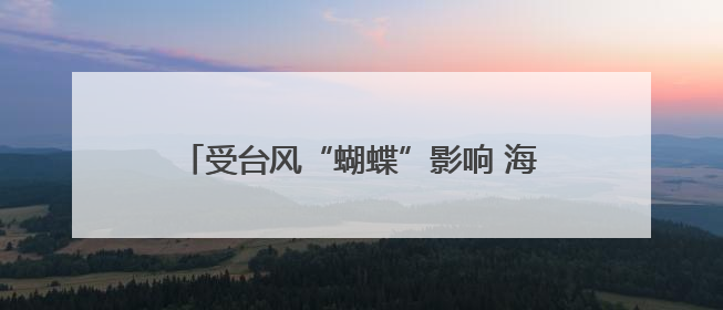 受台风“蝴蝶”影响 海南三大机场取消多个航班