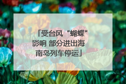 受台风“蝴蝶”影响 部分进出海南岛列车停运