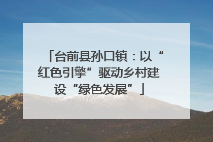 台前县孙口镇：以“红色引擎”驱动乡村建设“绿色发展”