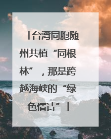 台湾同胞随州共植“同根林”，那是跨越海峡的“绿色情诗”