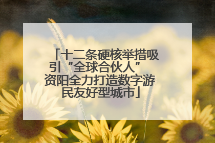 十二条硬核举措吸引“全球合伙人” 资阳全力打造数字游民友好型城市