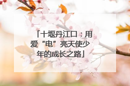 十堰丹江口：用爱“电”亮天使少年的成长之路