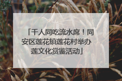 千人同吃流水席！同安区莲花镇莲花村举办莲文化赏鉴活动