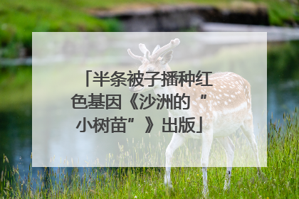 半条被子播种红色基因《沙洲的“小树苗”》出版